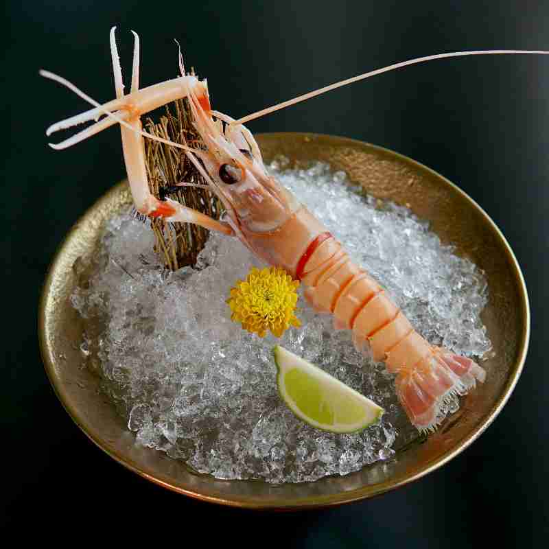 dish image