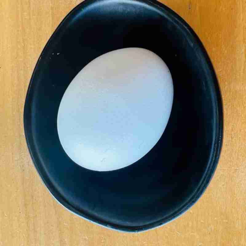 dish image