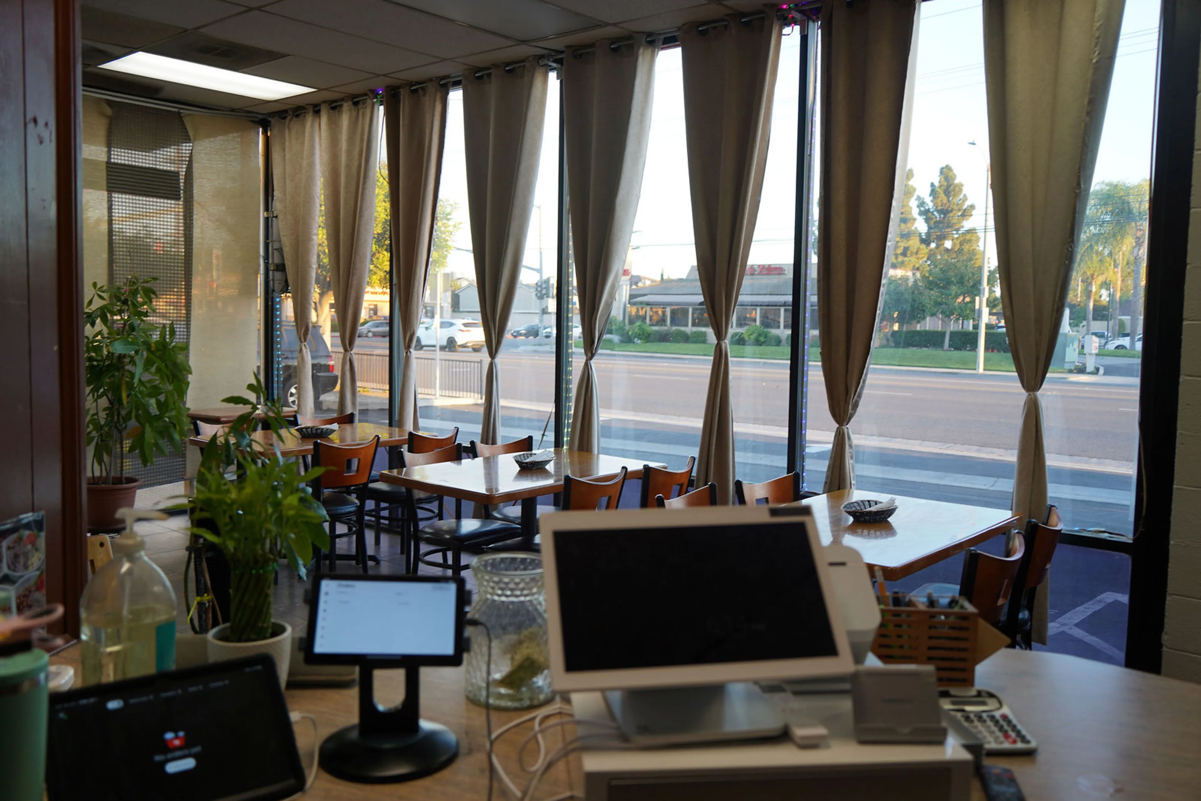 Fresh and Zesty Ceviche